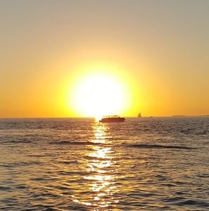 Meet your Posher, Todd